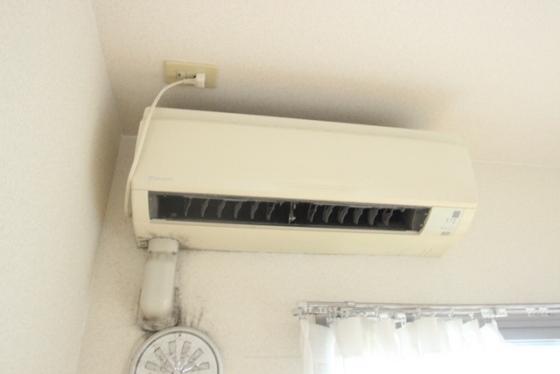 ウィンディア楽々園