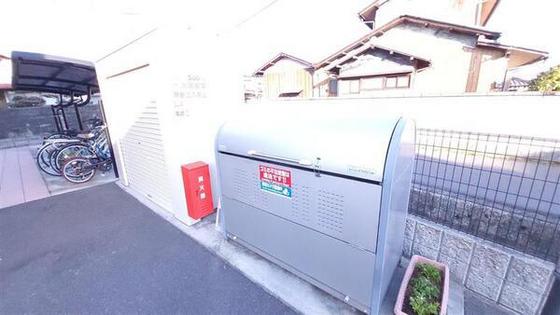 クレイノシトラス