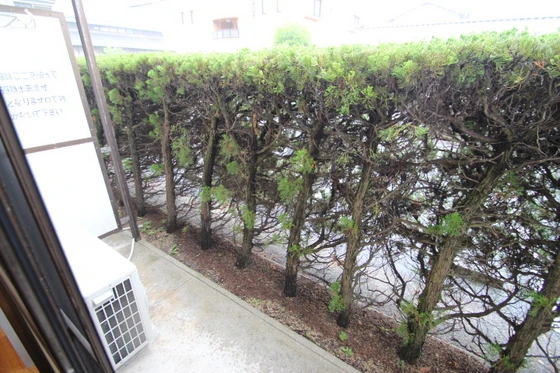 サンパレスイノウエ