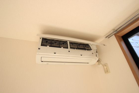 クリスタルパレス C