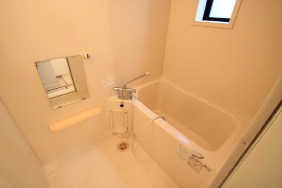 クリスタルパレス C