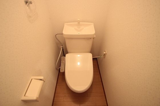 クリスタルパレス C