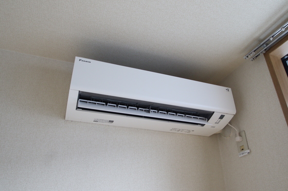 クリスタルパレス C