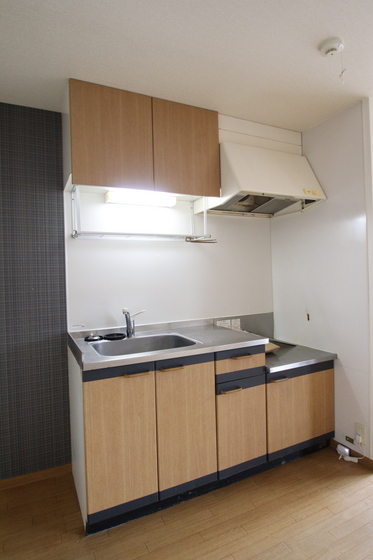 クリスタルパレス C