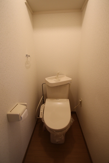 クリスタルパレス C