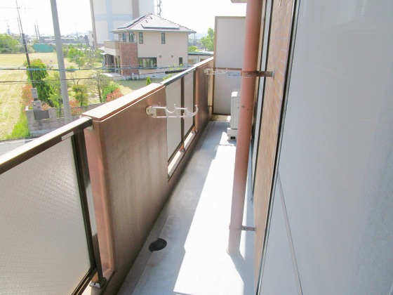 メゾンタイショウ3