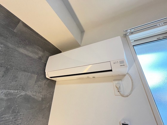 ガット フェリーチェ