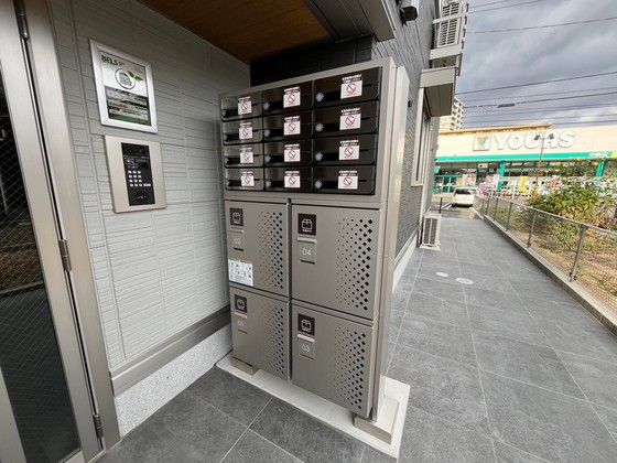 ガット フェリーチェ