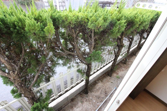 グリーンパレス京山B棟