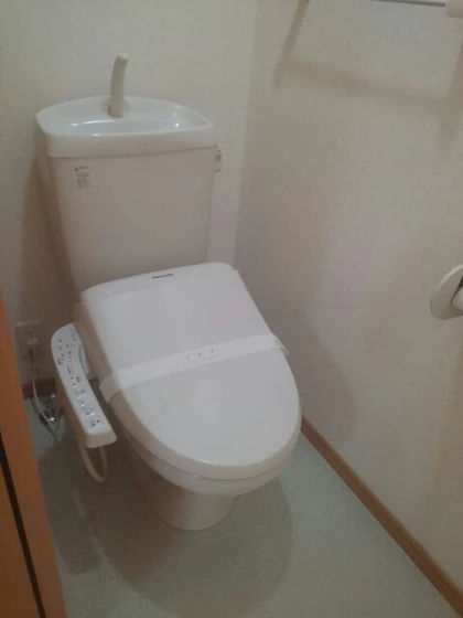 ホワイトリリーA