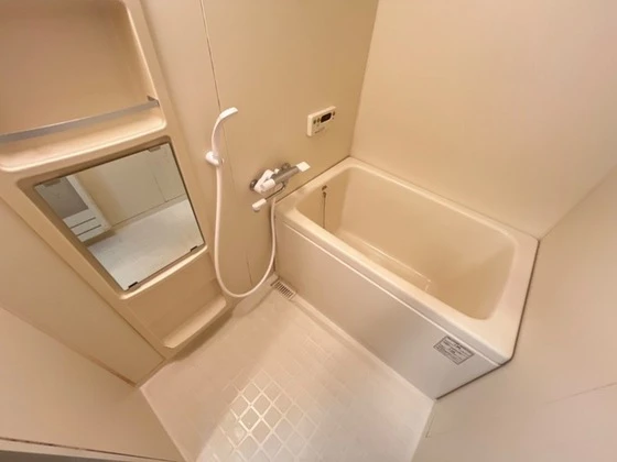 アーマスイズミⅡ