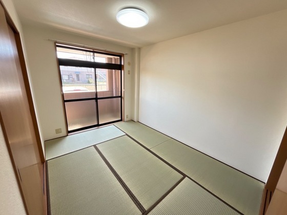 アーマスイズミⅡ