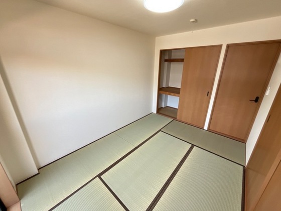 アーマスイズミⅡ