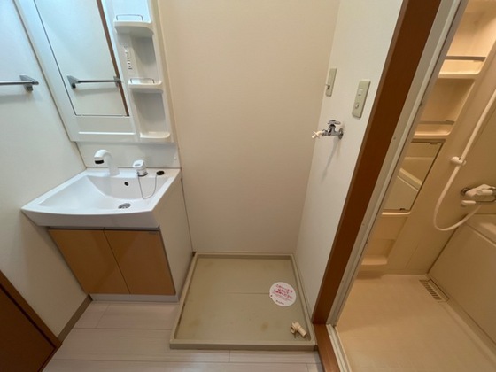 アーマスイズミⅡ