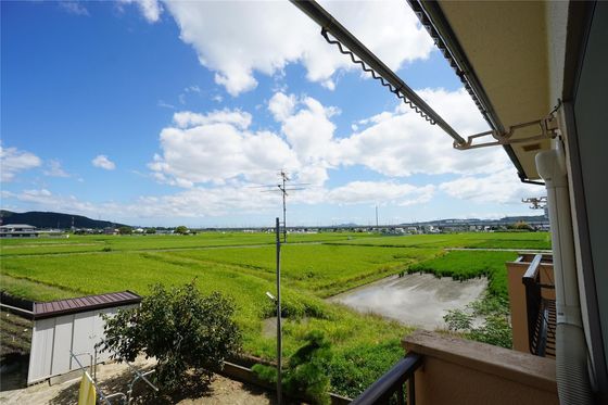 シャトルタカノ