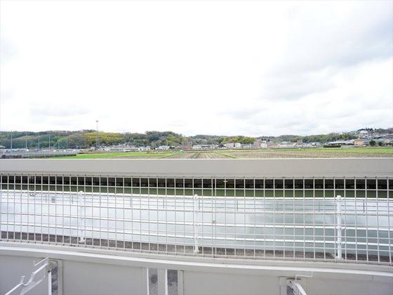 サクシードパル