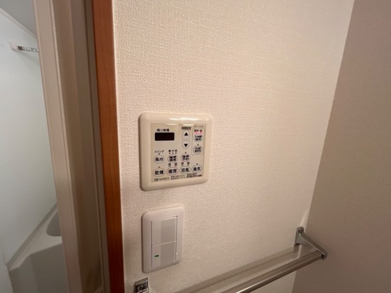 カントリードール