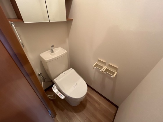 カントリードール