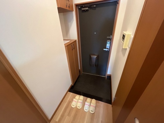 カントリードール