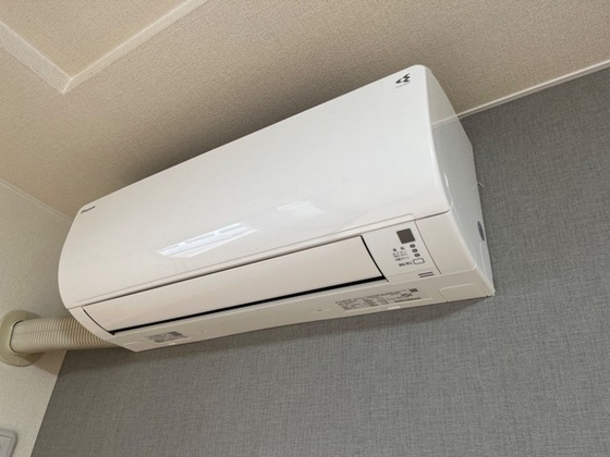 カントリードール