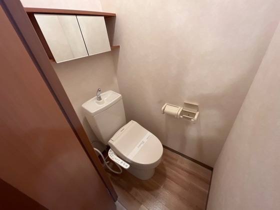 カントリードール