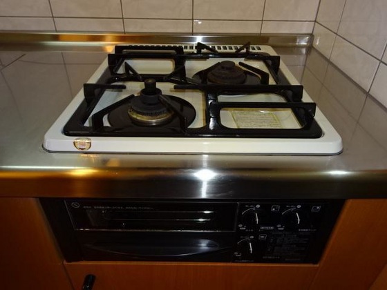 グリーンパレスⅢ