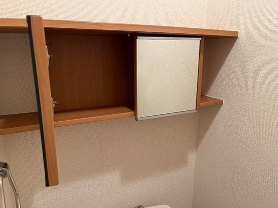 グリーンパレスⅢ