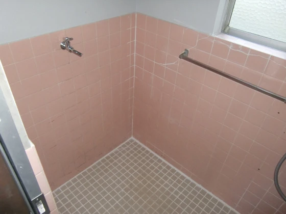 尾長東アパート東側