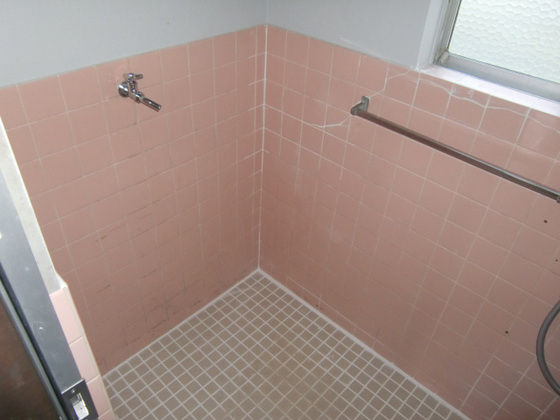 尾長東アパート東側