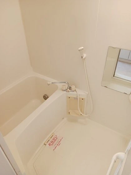 プリムローズ B