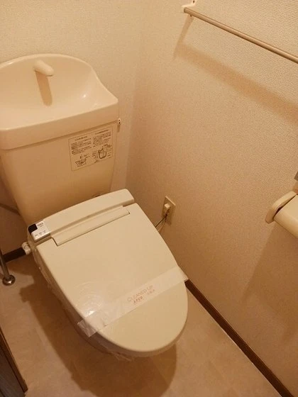 プリムローズ B