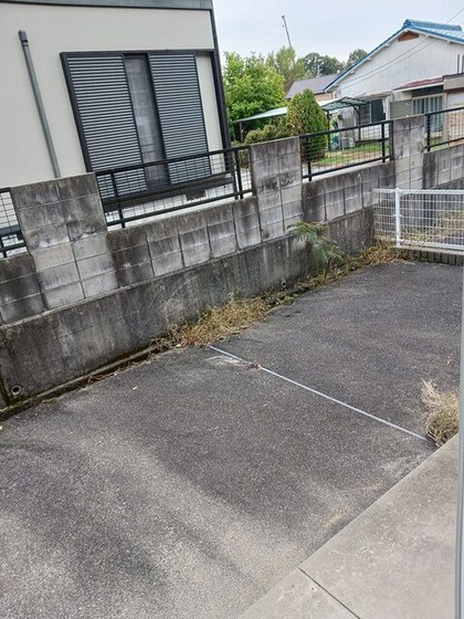 プリムローズ B