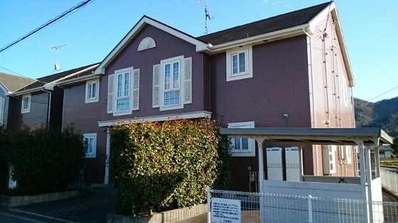 プリムローズ B