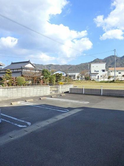 プリムローズ B