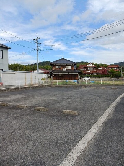 プリムローズ B