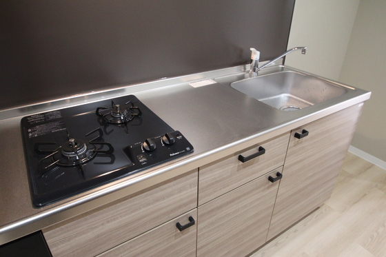 Polaris(ポラリス) S棟