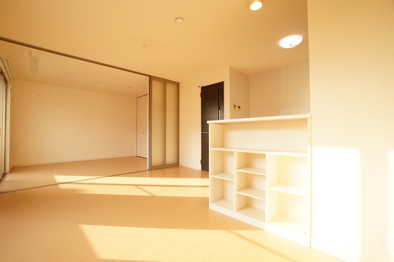 リバーパレス B棟