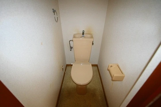 スカイフラッツ