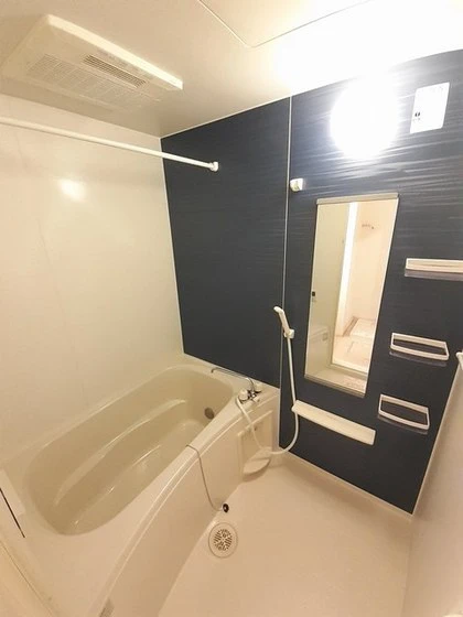 スターオアシス