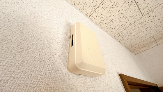 サンフラワー D