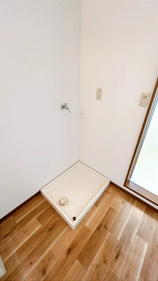 サンフラワー D