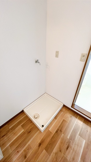 サンフラワー D