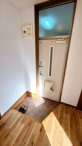 サンフラワー D