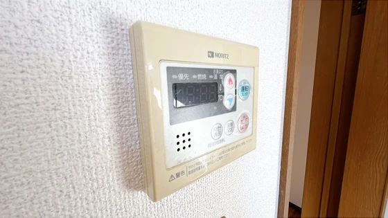 サンフラワー D