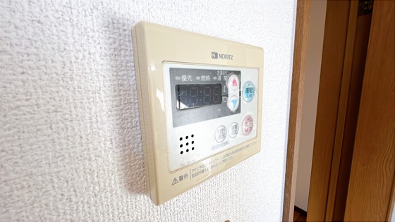 サンフラワー D