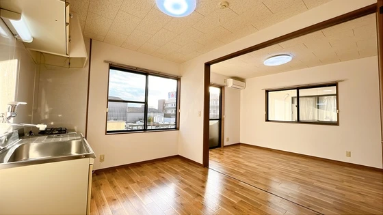 サンフラワー D