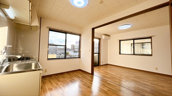 サンフラワー D