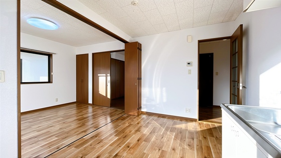 サンフラワー D