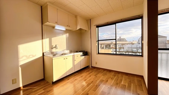 サンフラワー D