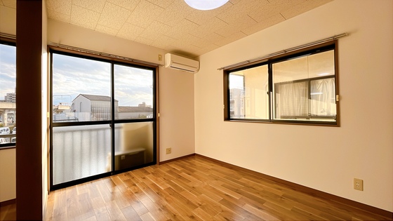 サンフラワー D